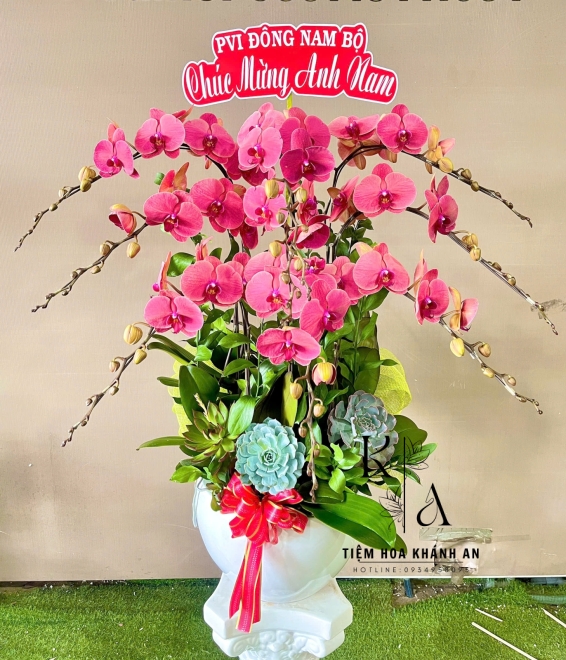 Lan hồ điệp chúc mừng sinh nhật tone hồng