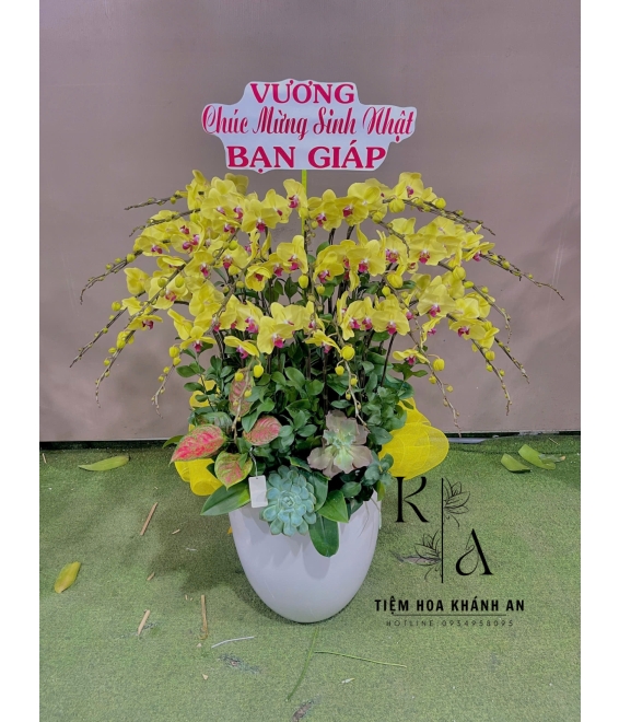 Lan hồ điệp chúc mừng sinh nhật