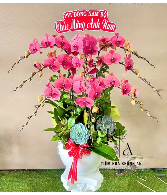 Lan hồ điệp chúc mừng sinh nhật tone hồng